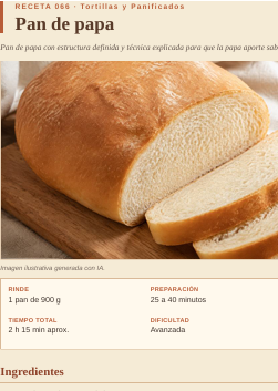 100 Formas de Preparar Papas